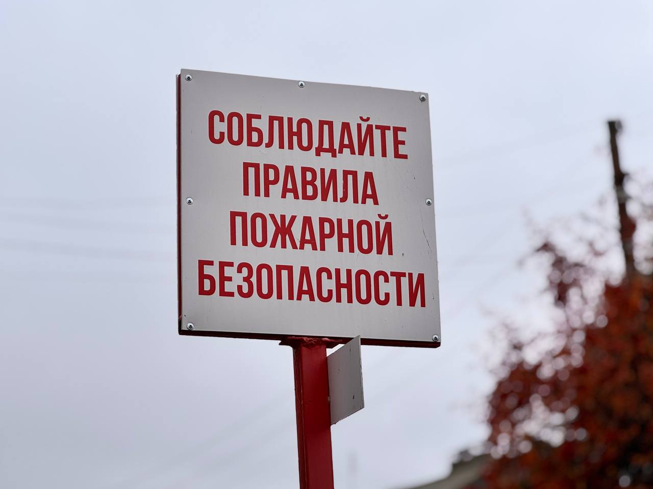 Саратовцам рассказали, как избежать пожаров в новогодние праздники